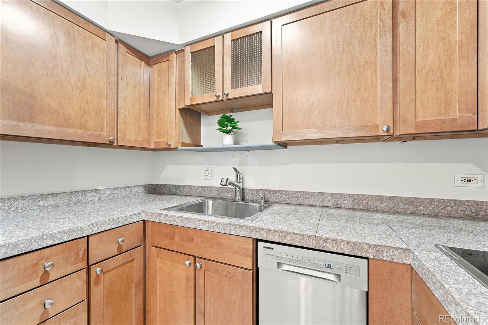 MLS Image #11 for 1056 n marion street,denver, Colorado