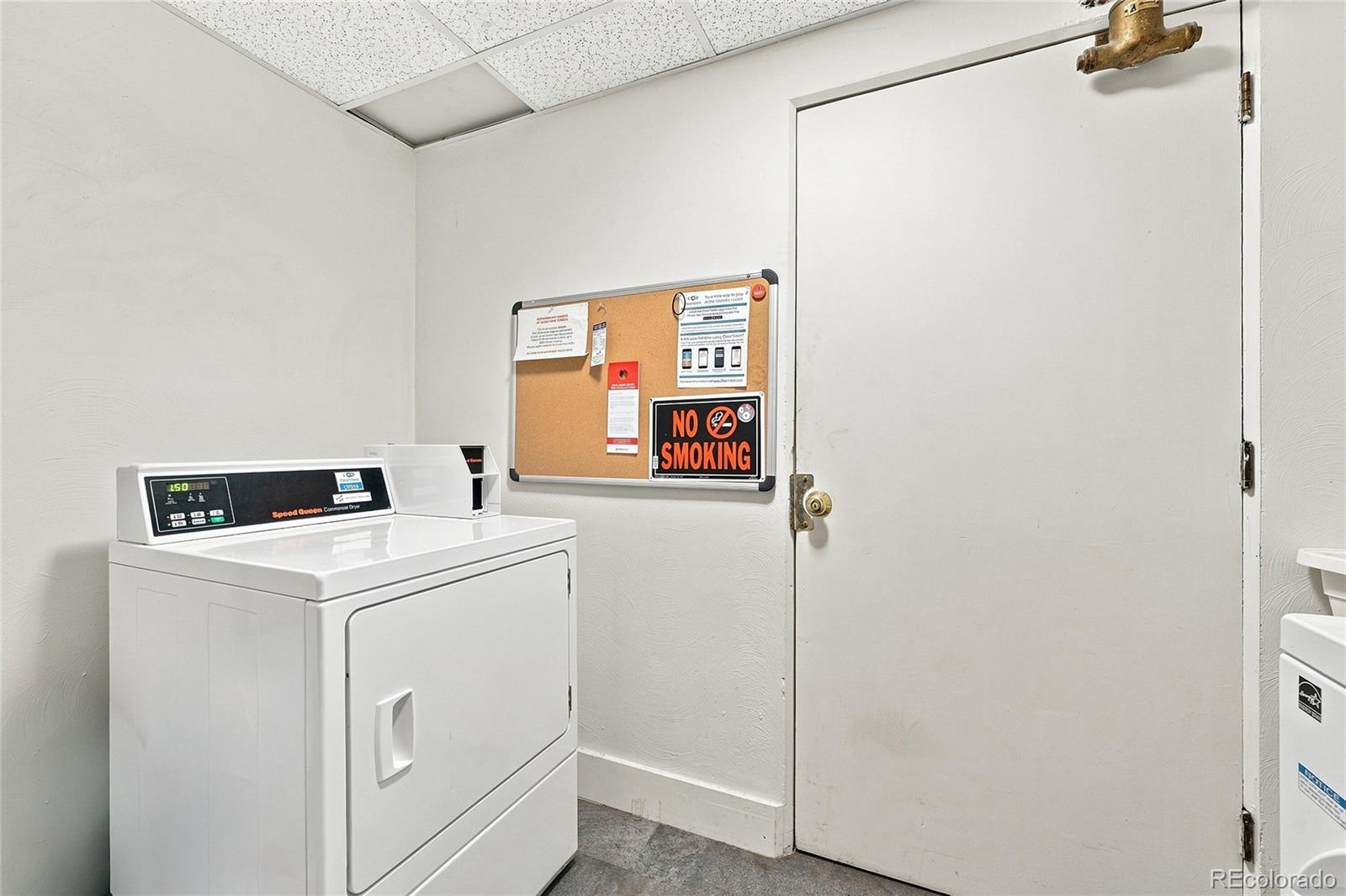 MLS Image #21 for 1056 n marion street,denver, Colorado