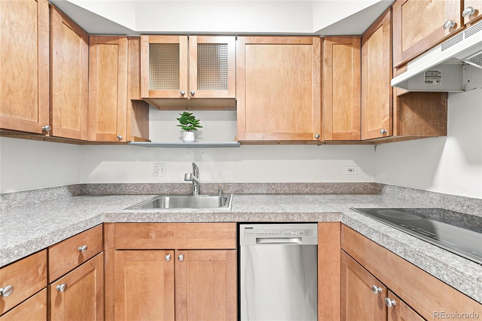 MLS Image #9 for 1056 n marion street,denver, Colorado