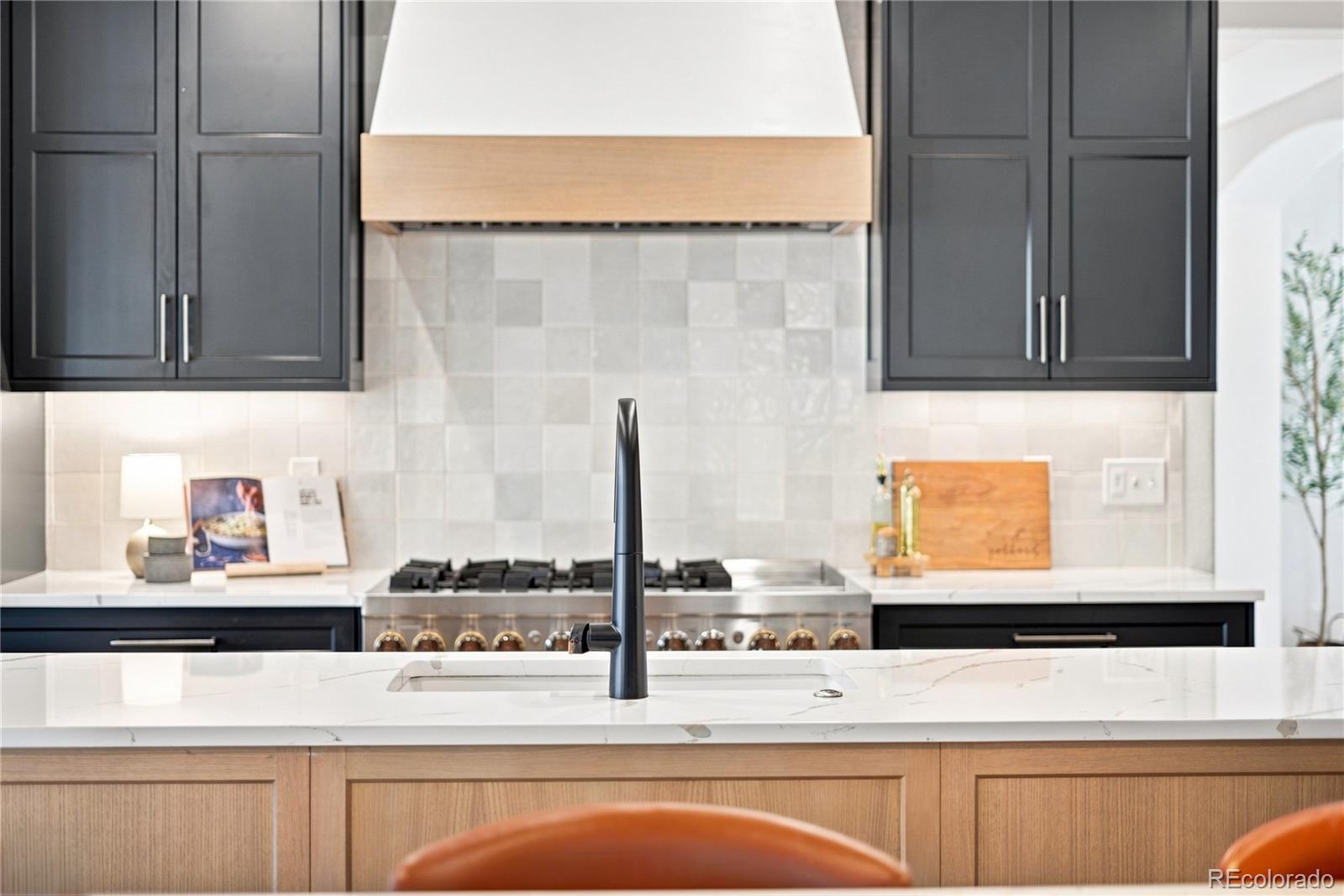 MLS Image #11 for 820  elk rest road,evergreen, Colorado