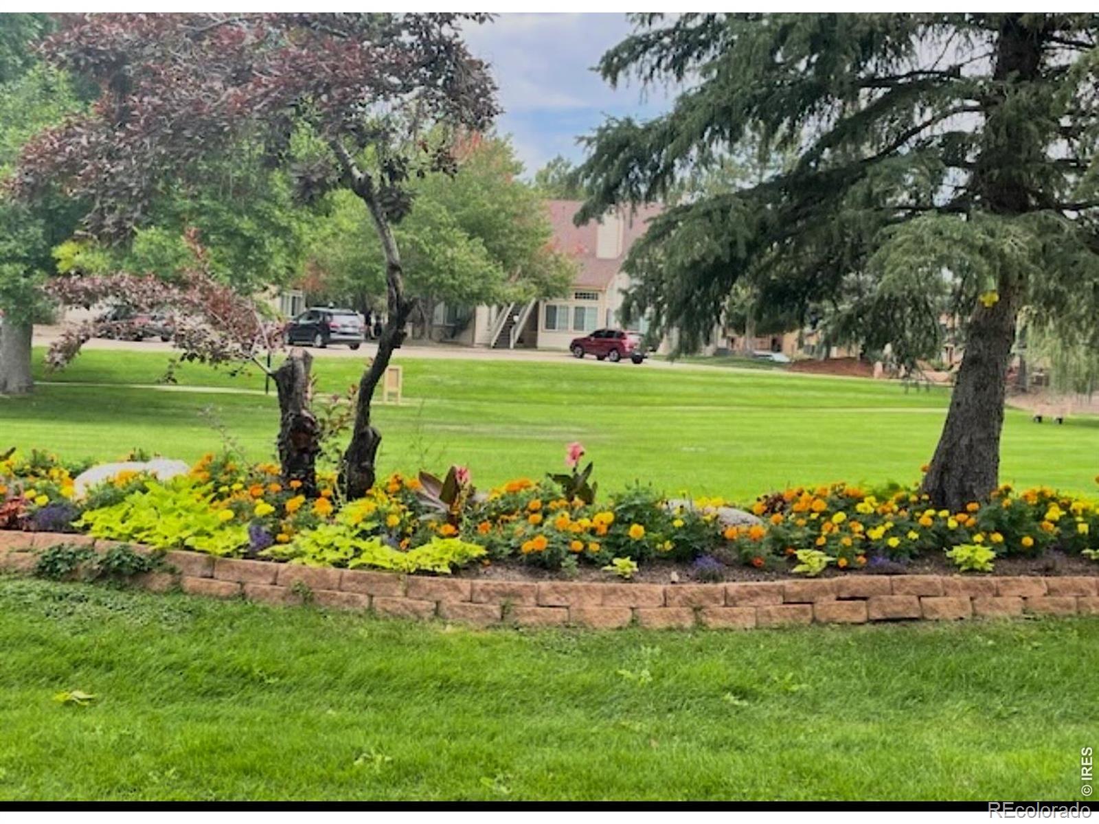 MLS Image #14 for 6036  gunbarrel avenue,boulder, Colorado