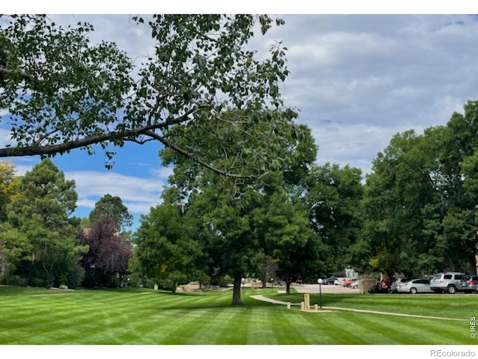 MLS Image #15 for 6036  gunbarrel avenue,boulder, Colorado