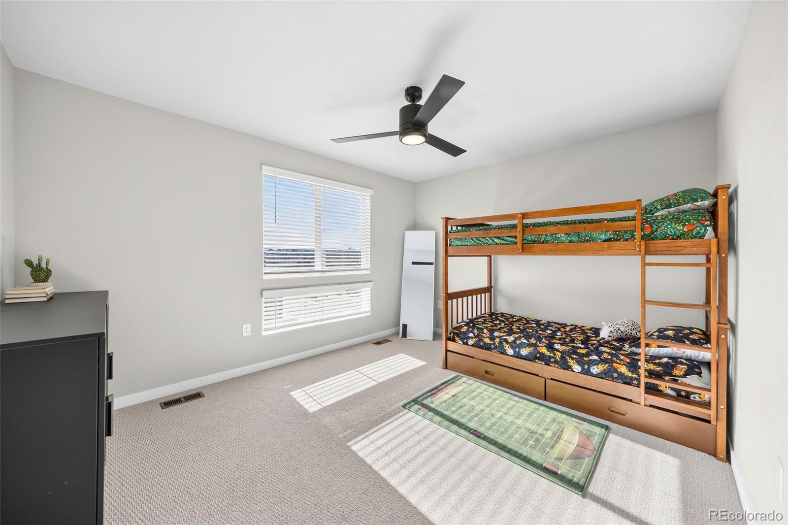 MLS Image #23 for 3612  greenways main boulevard,colorado springs, Colorado