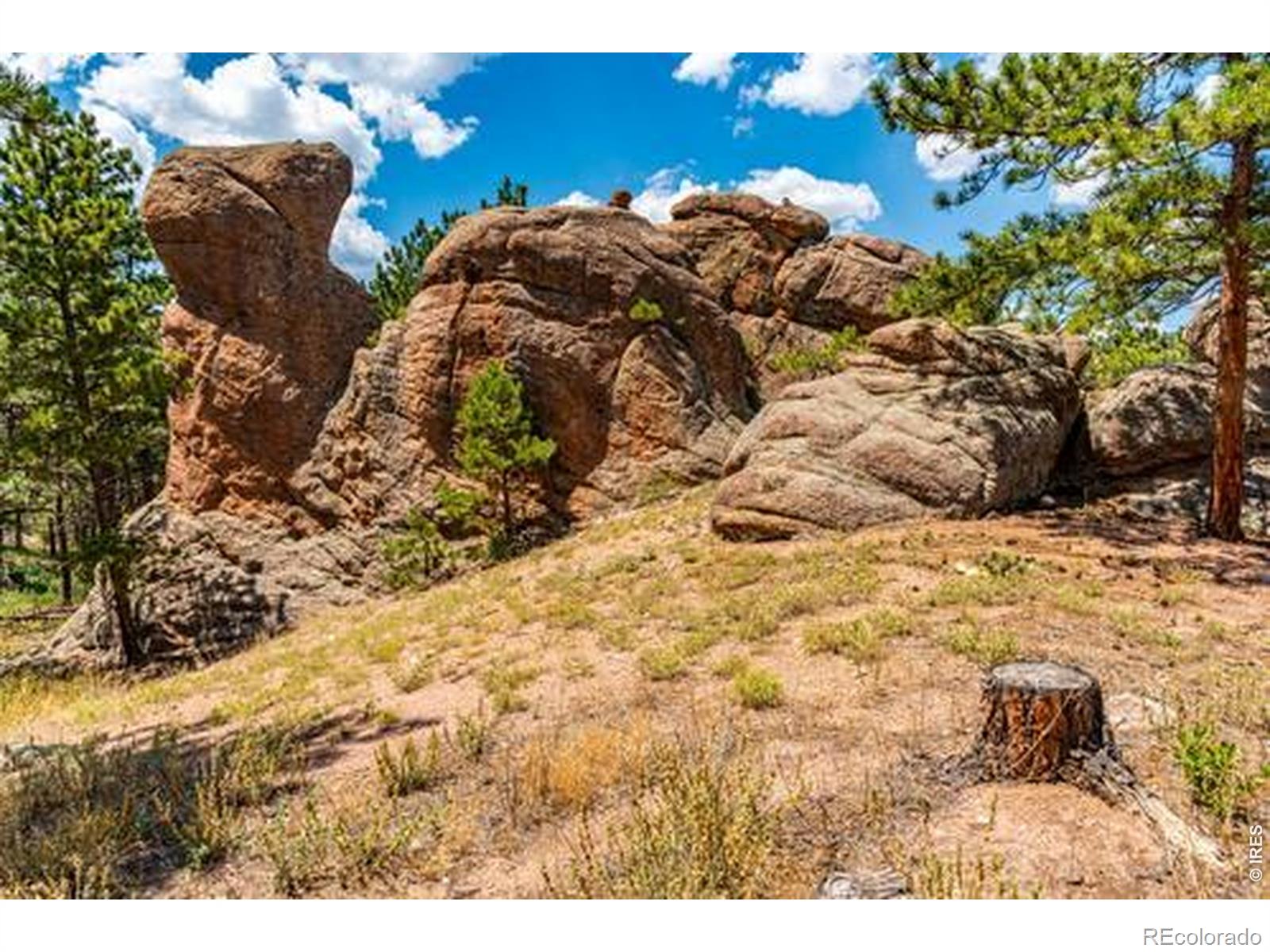 MLS Image #49 for 788  pioneer road,lyons, Colorado