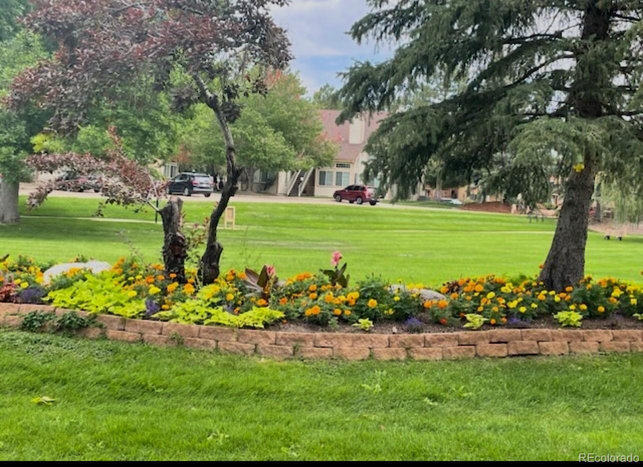 MLS Image #14 for 6036  gunbarrel avenue,boulder, Colorado