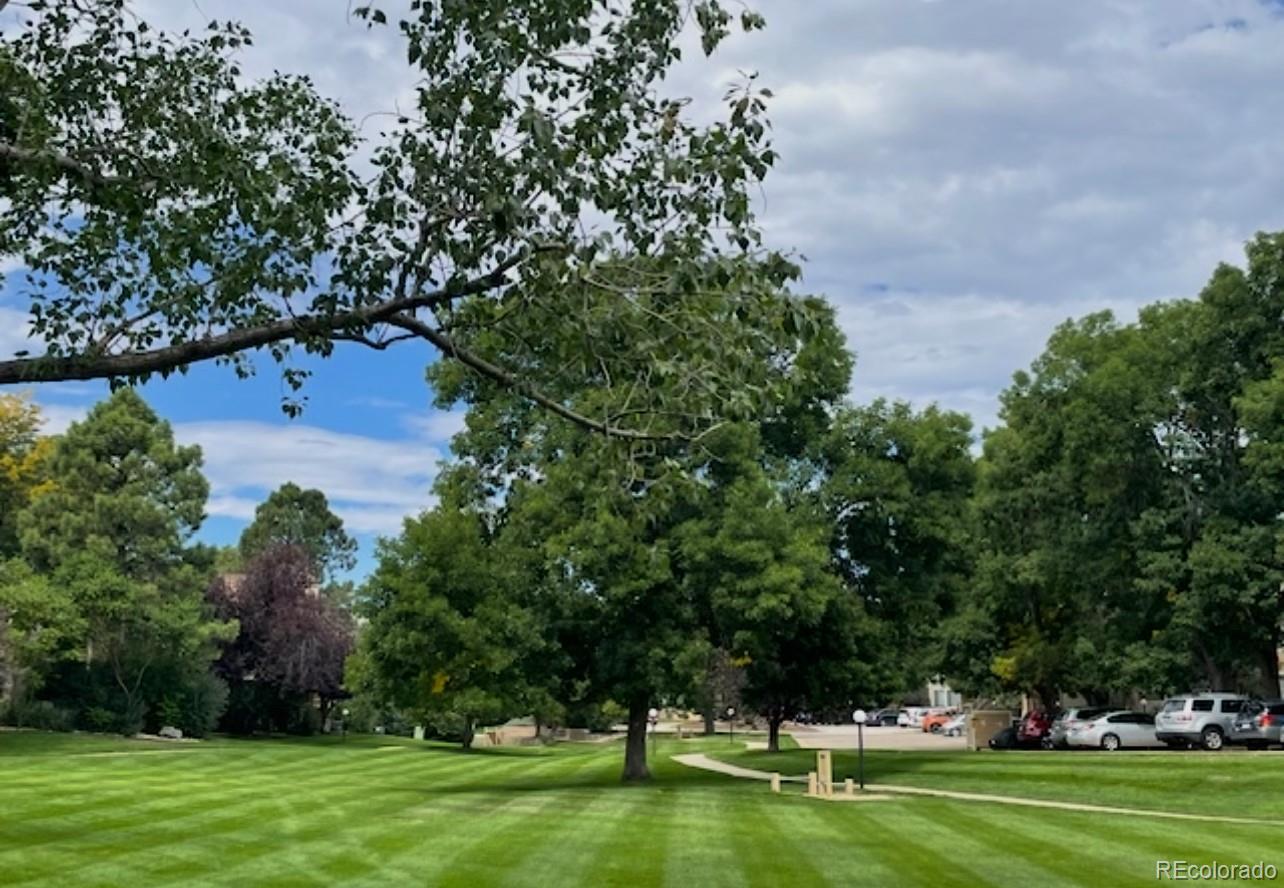 MLS Image #15 for 6036  gunbarrel avenue,boulder, Colorado