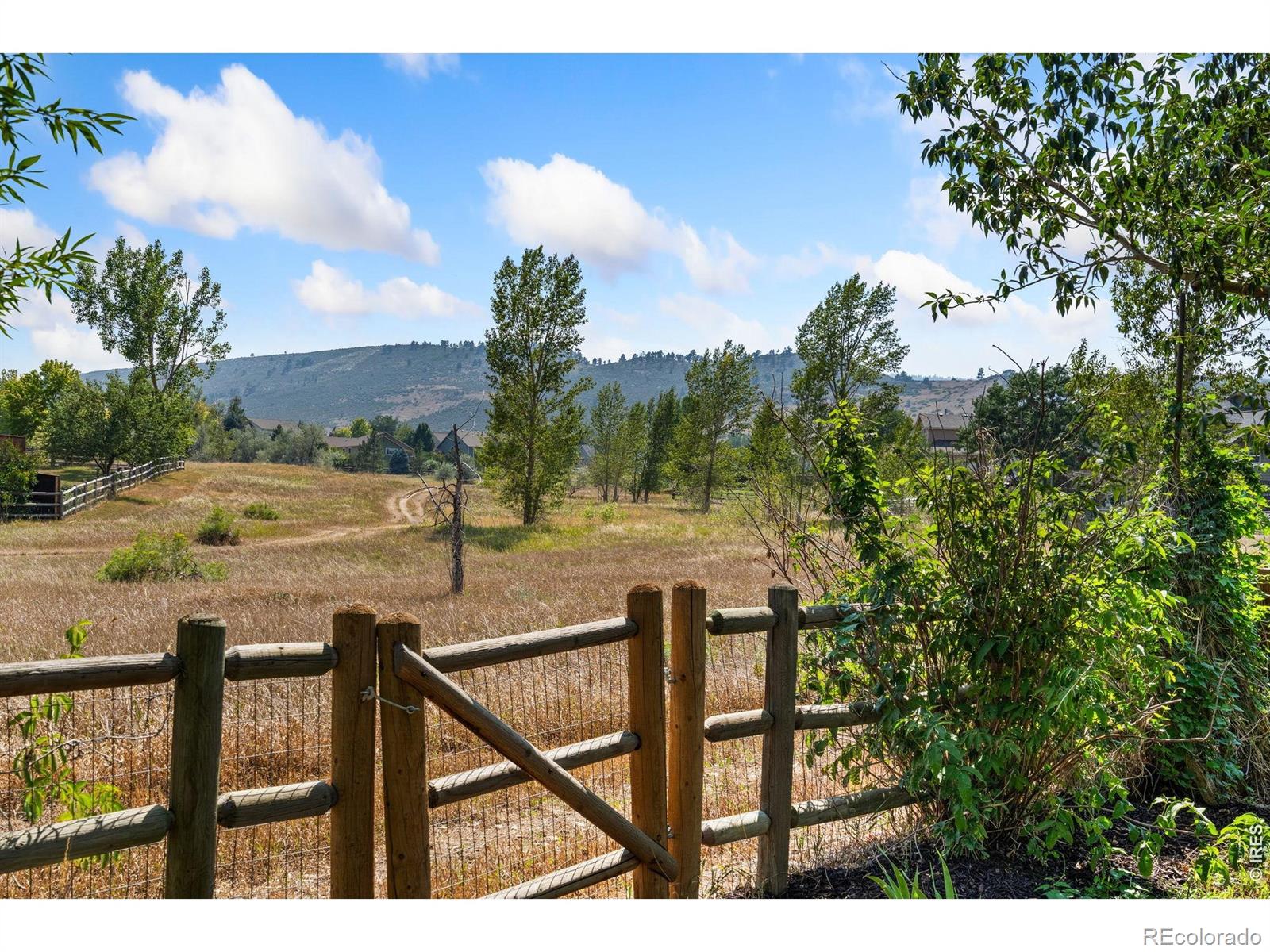 MLS Image #2 for 3339  coneflower drive,fort collins, Colorado