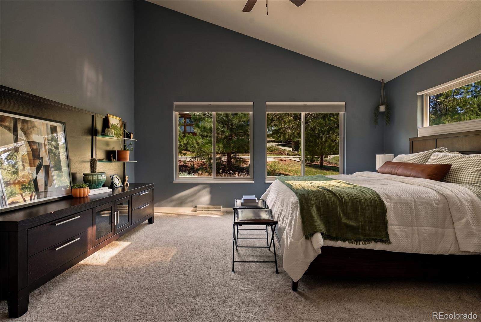 MLS Image #37 for 6344  willow broom trail,littleton, Colorado