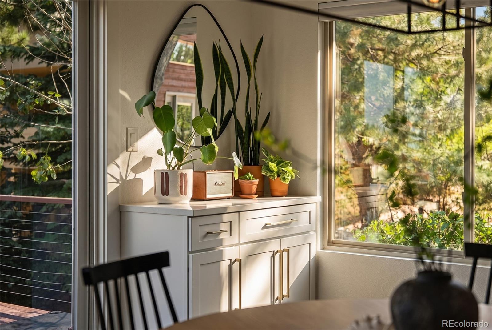MLS Image #9 for 6344  willow broom trail,littleton, Colorado