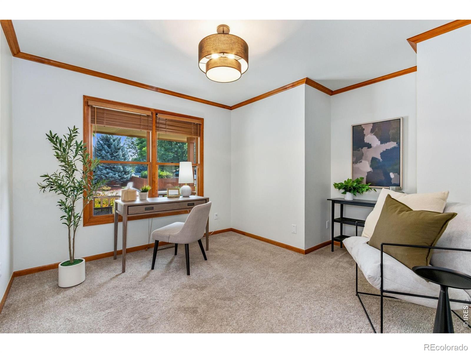 MLS Image #19 for 3801  kentford road,fort collins, Colorado