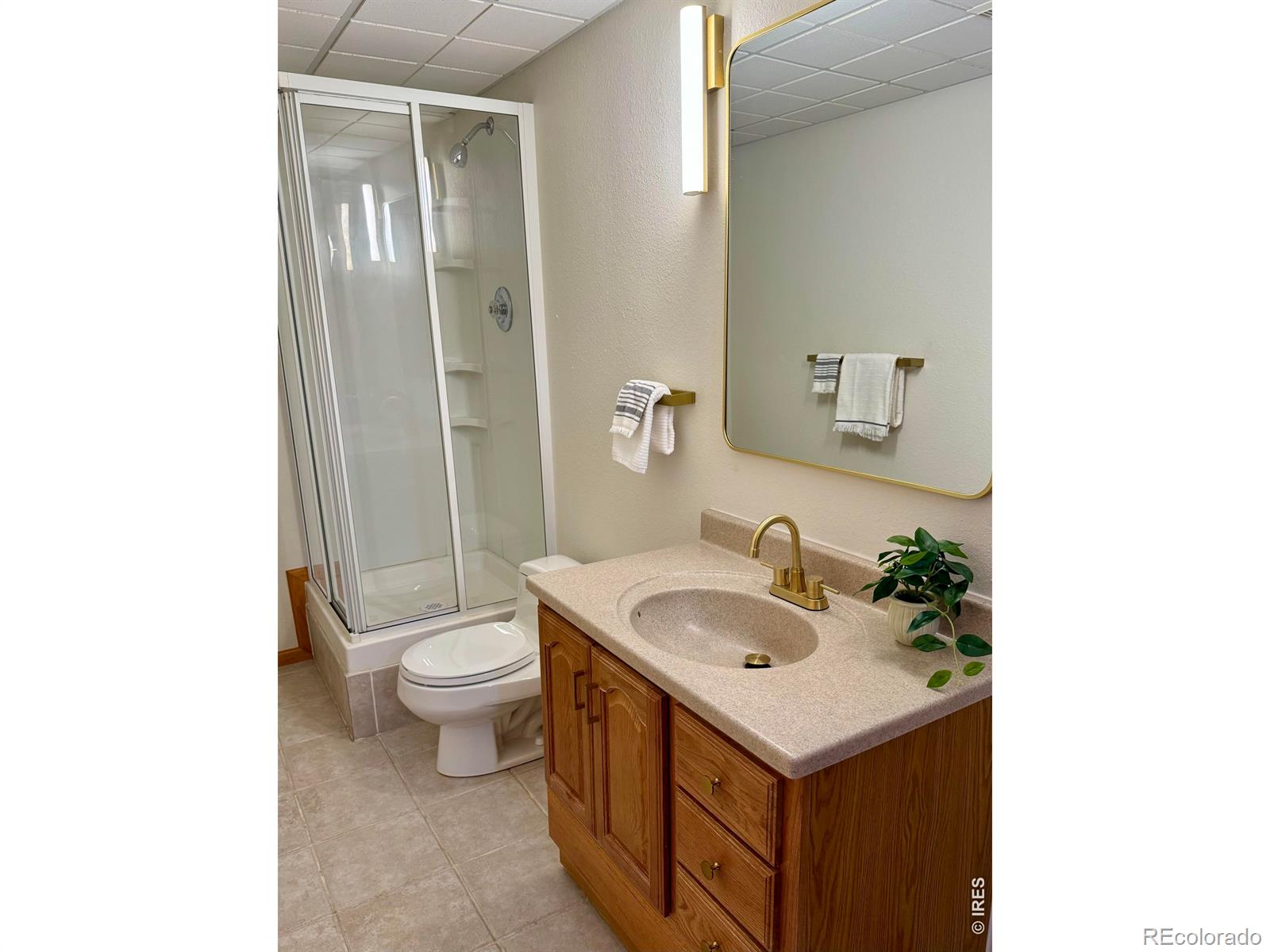 MLS Image #30 for 3801  kentford road,fort collins, Colorado