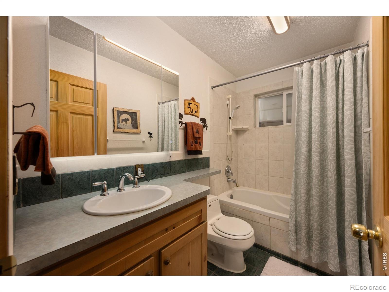 MLS Image #19 for 17391 w county road 74e ,red feather lakes, Colorado