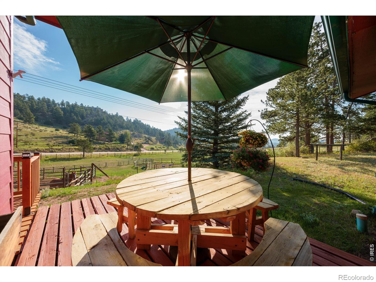 MLS Image #20 for 17391 w county road 74e ,red feather lakes, Colorado