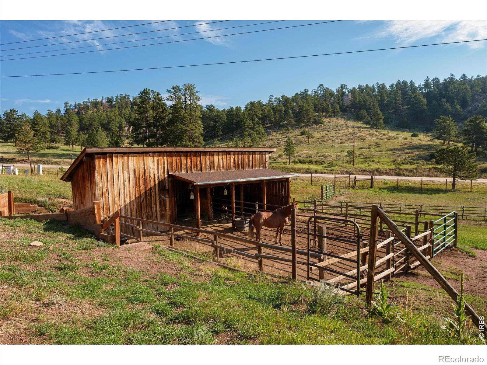 MLS Image #24 for 17391 w county road 74e ,red feather lakes, Colorado