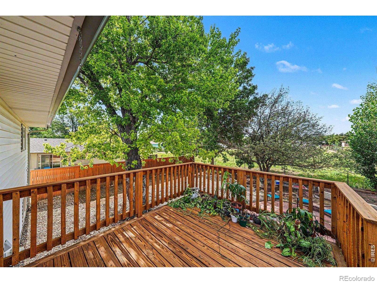 MLS Image #15 for 2421 w plum street,fort collins, Colorado