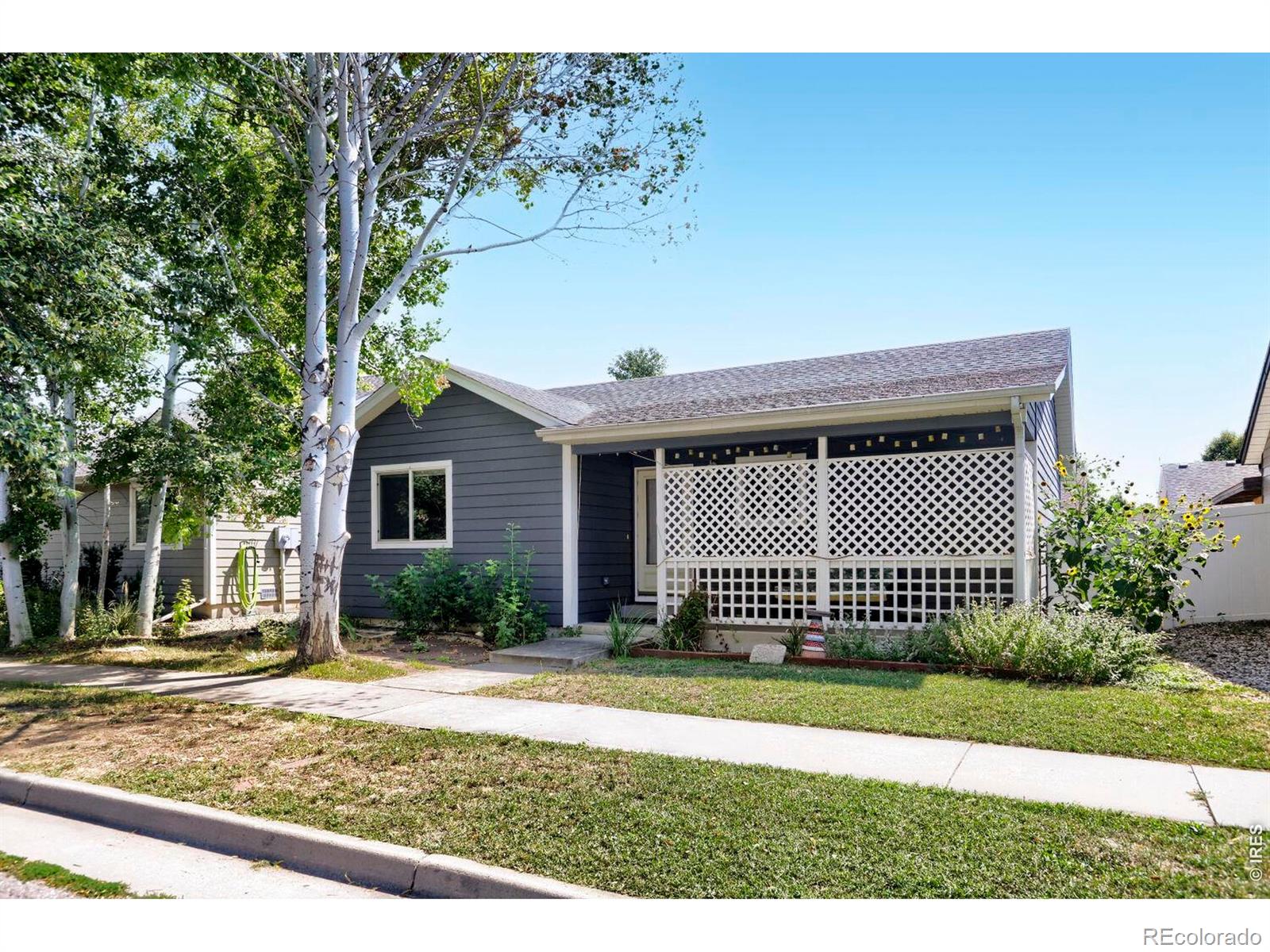 MLS Image #5 for 780  zircon avenue,loveland, Colorado