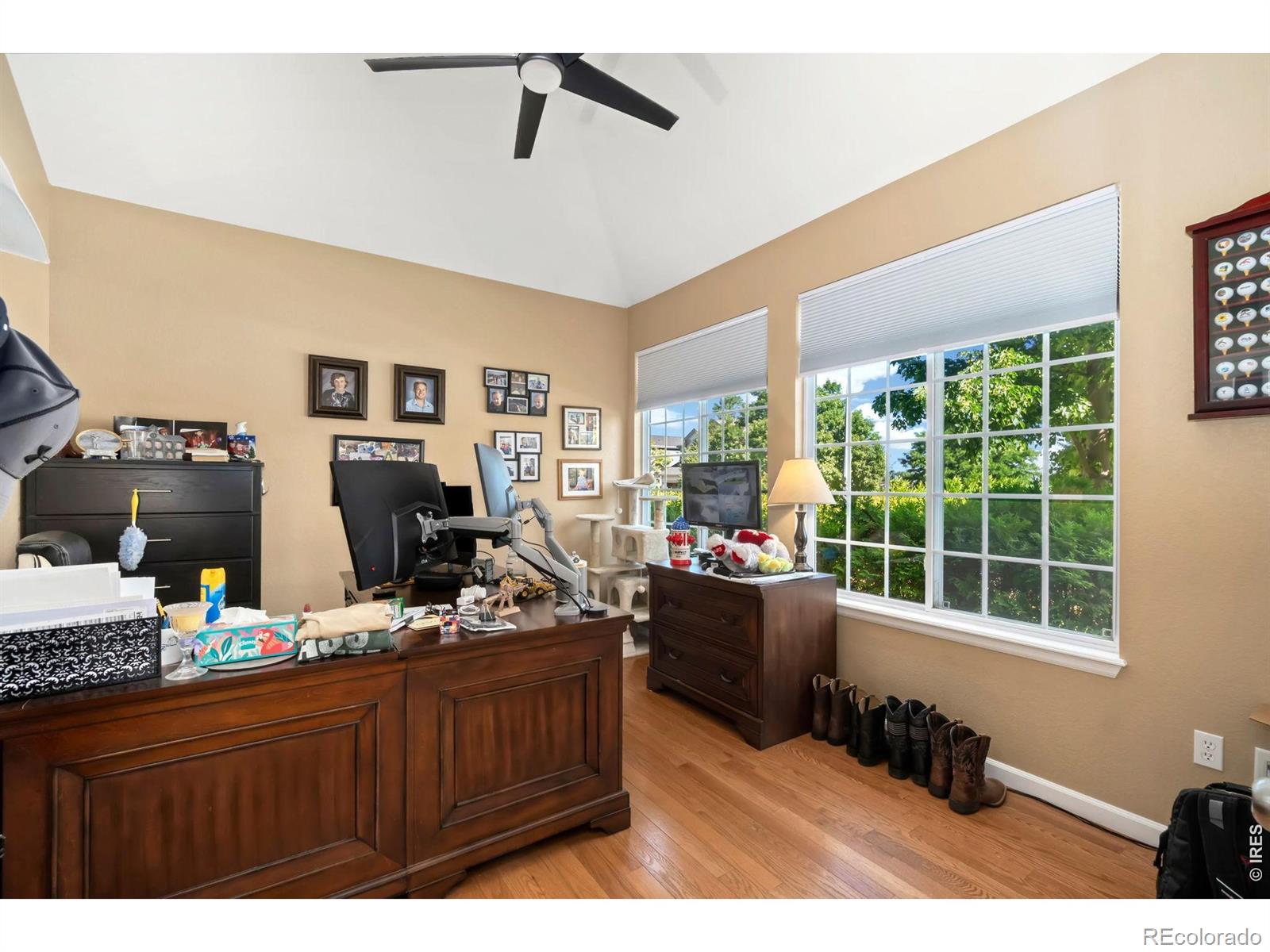 MLS Image #2 for 3774  brunner boulevard,johnstown, Colorado