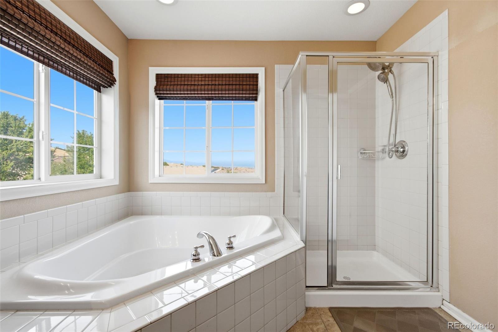 MLS Image #24 for 2739  badlands court,castle rock, Colorado