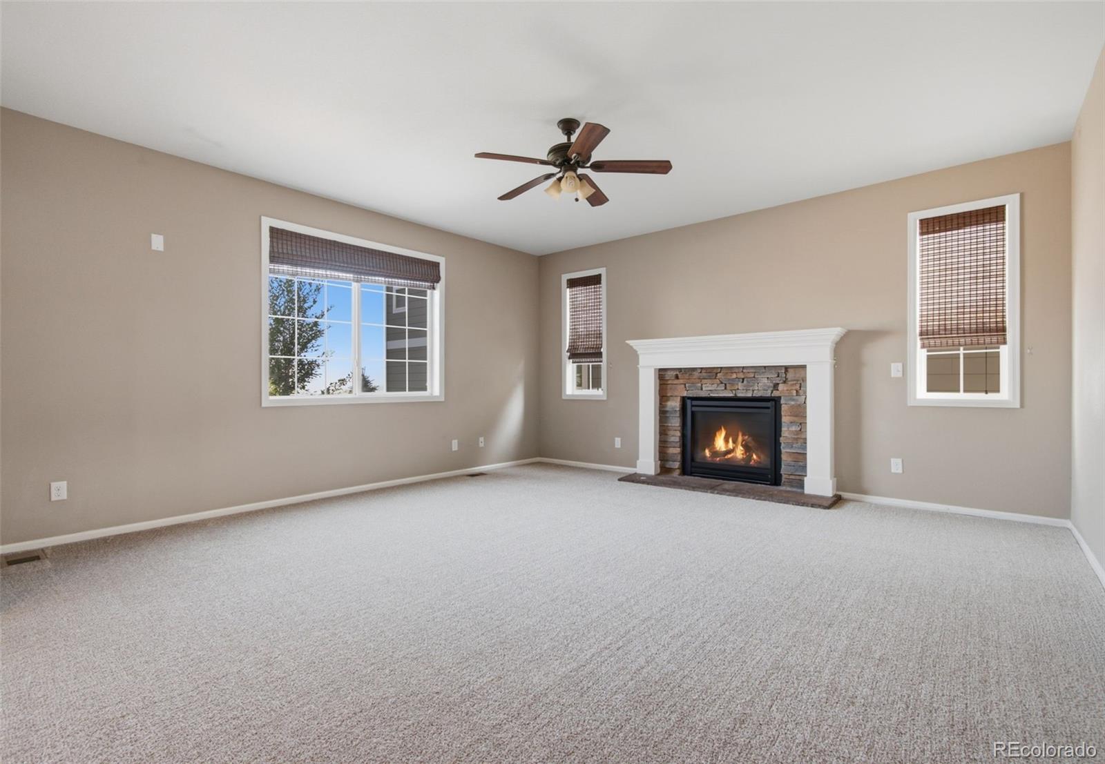 MLS Image #8 for 2739  badlands court,castle rock, Colorado