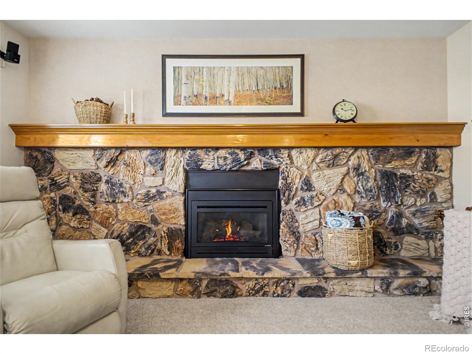 MLS Image #22 for 1601  garnet street,broomfield, Colorado
