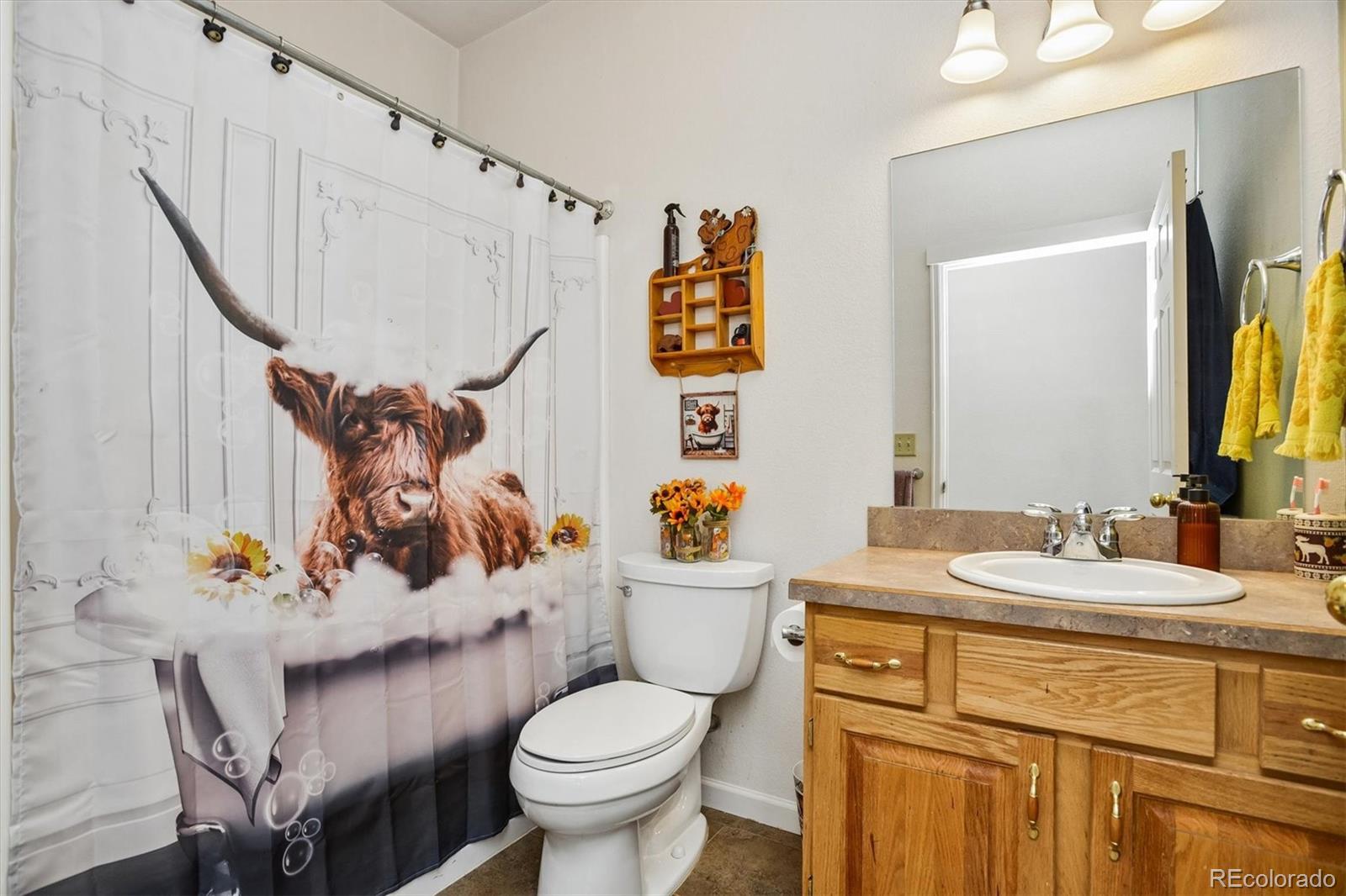 MLS Image #12 for 122  starbuck circle,salida, Colorado