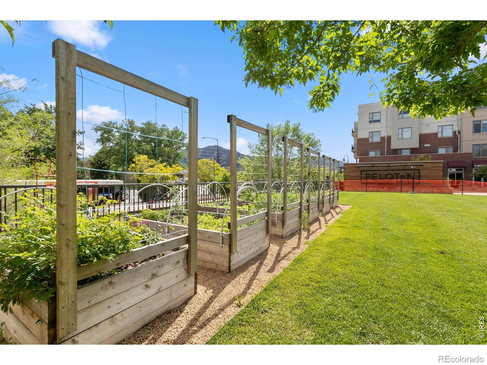 MLS Image #38 for 3401  arapahoe avenue,boulder, Colorado
