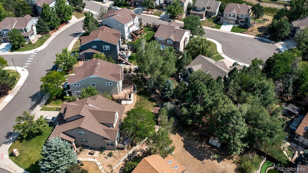 MLS Image #13 for 4465  charing drive,castle rock, Colorado