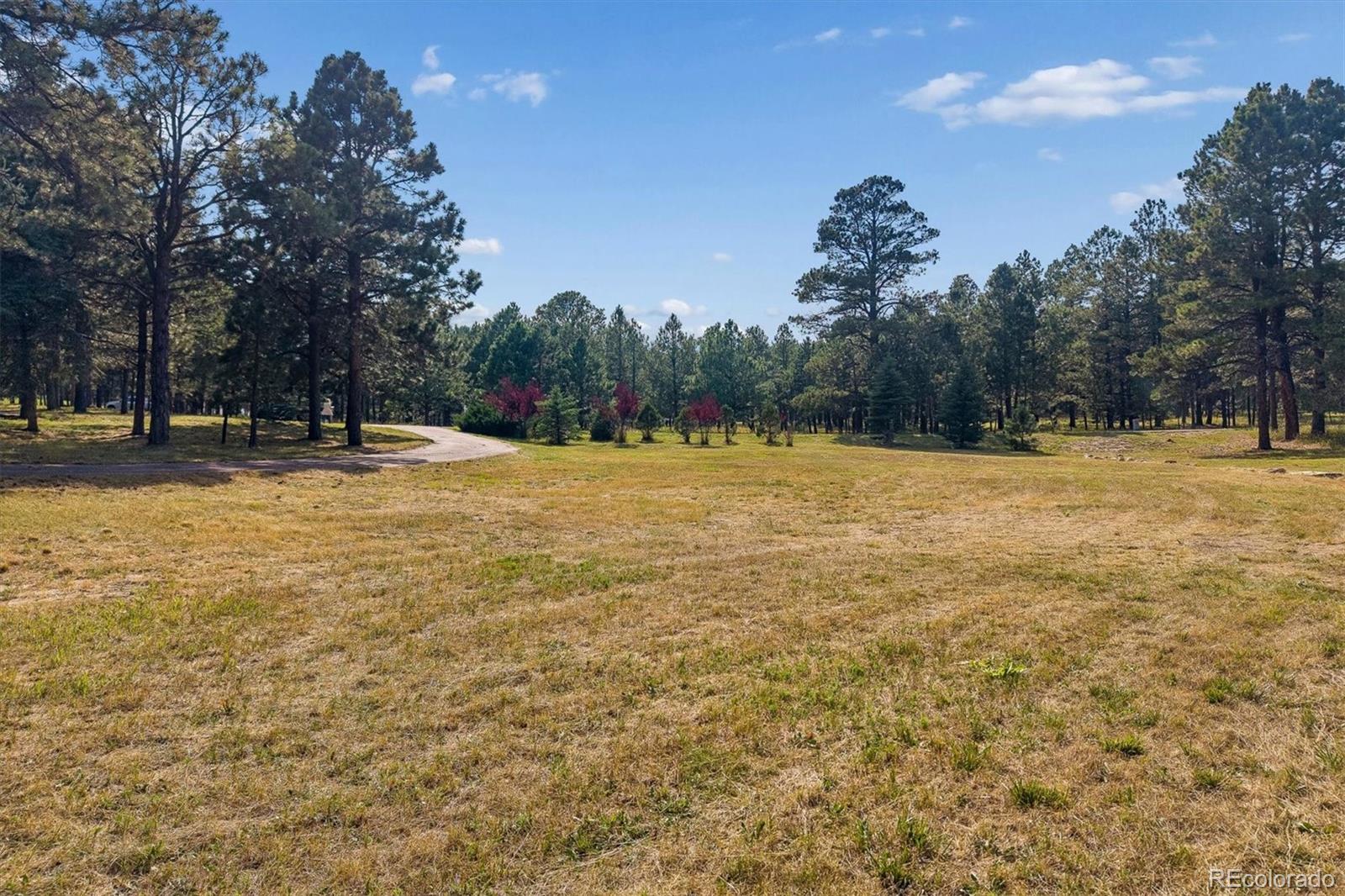 MLS Image #37 for 18415  lake drive,monument, Colorado