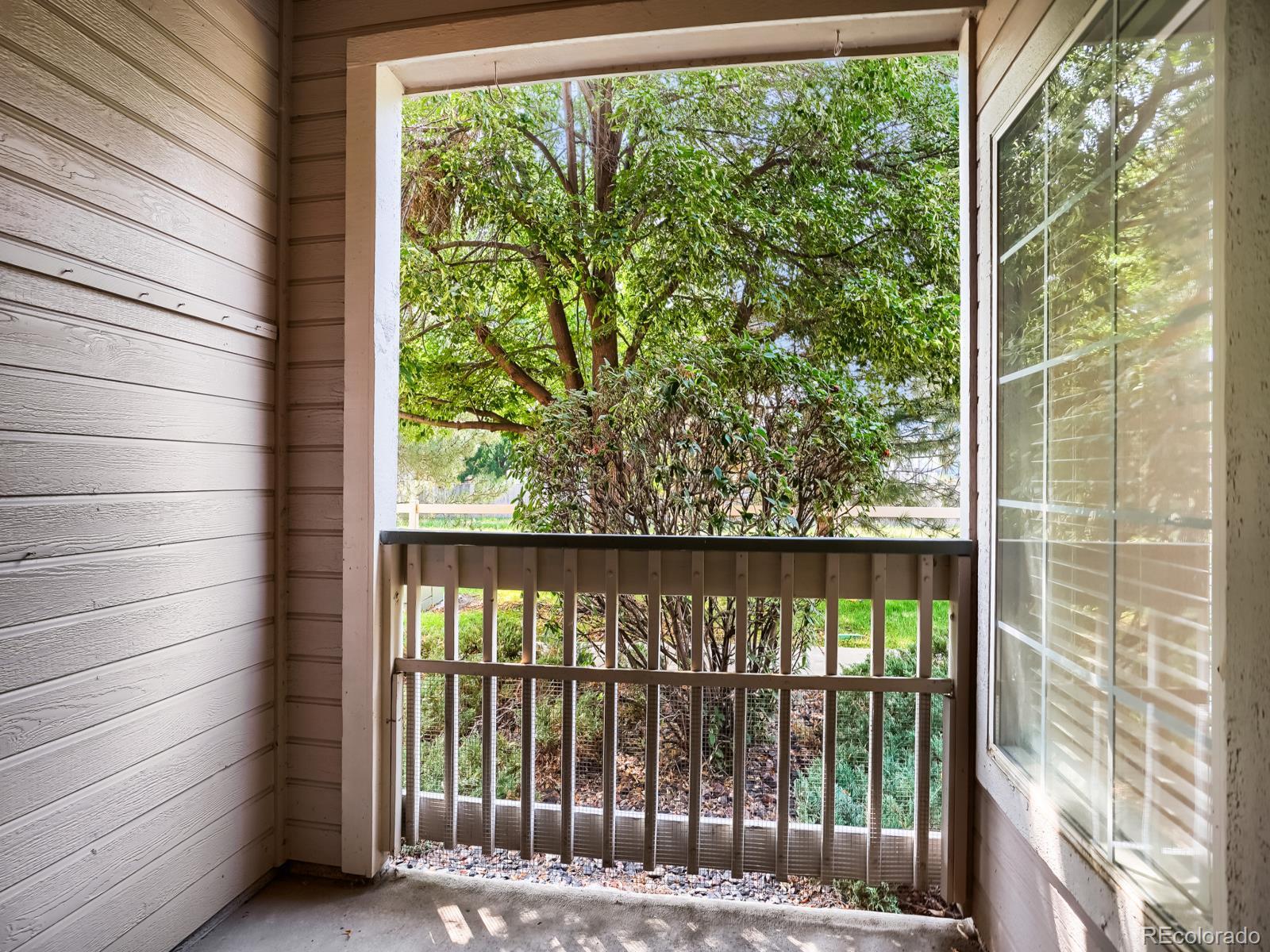 MLS Image #23 for 1148  opal street,broomfield, Colorado