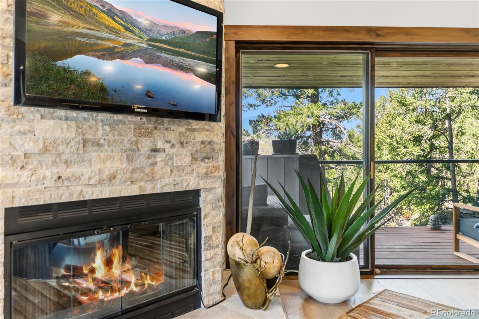 MLS Image #6 for 417  summerwood drive,dillon, Colorado