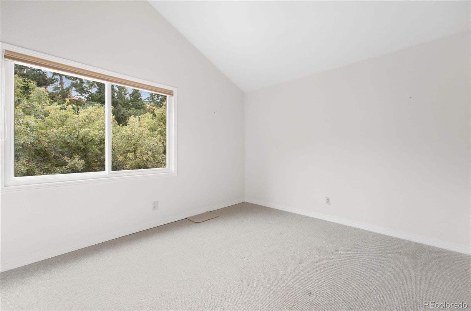 MLS Image #22 for 10276  totem run,littleton, Colorado