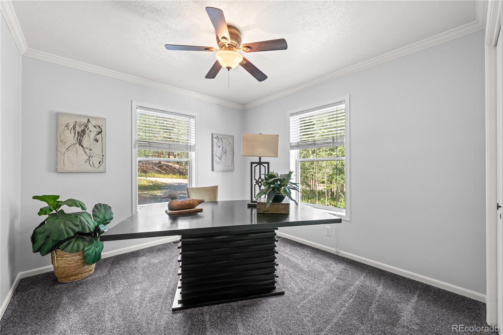 MLS Image #23 for 216  nero road,black hawk, Colorado