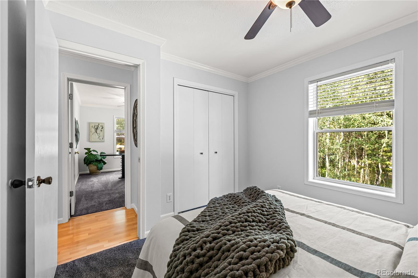 MLS Image #26 for 216  nero road,black hawk, Colorado