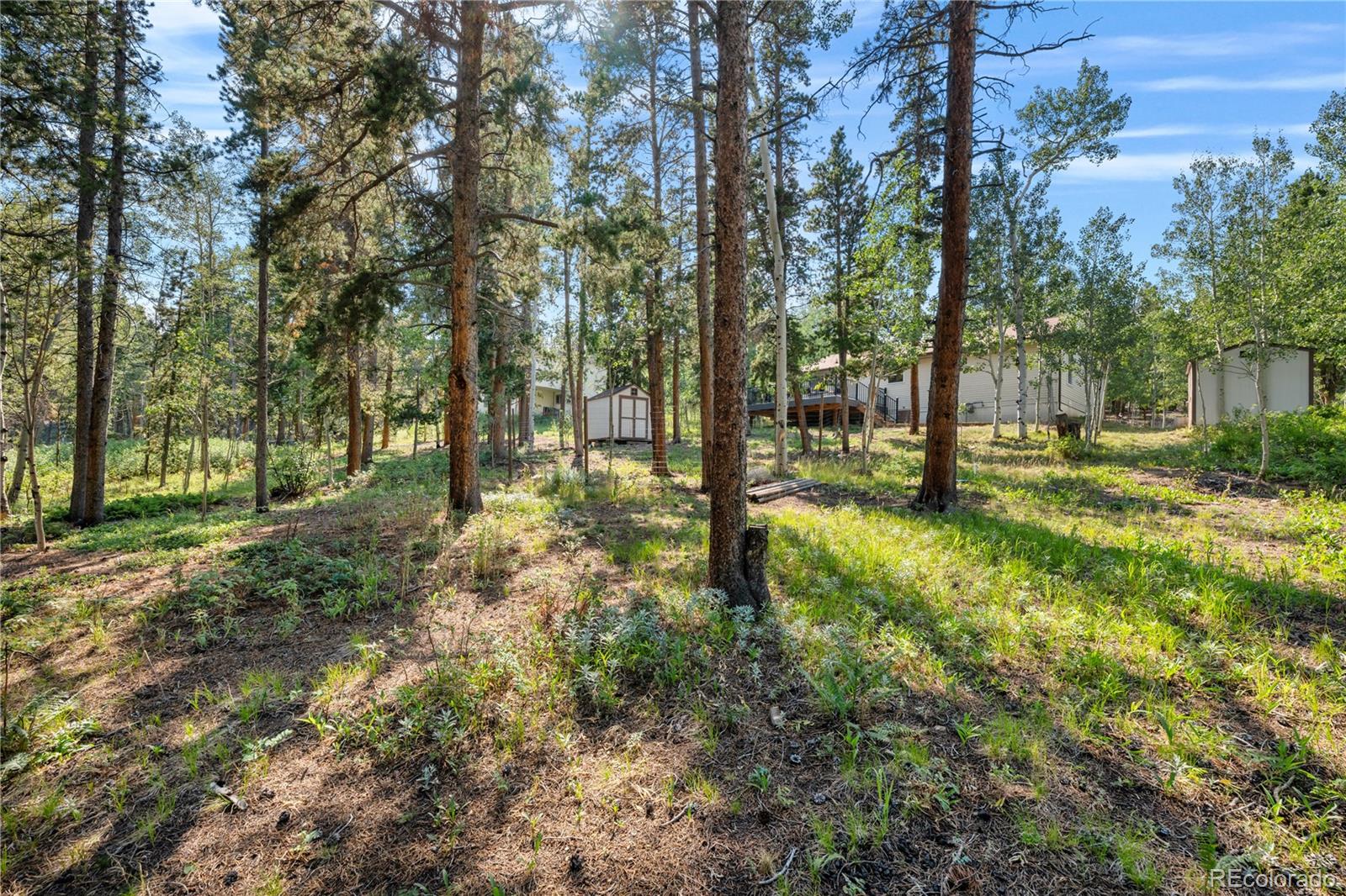 MLS Image #40 for 216  nero road,black hawk, Colorado