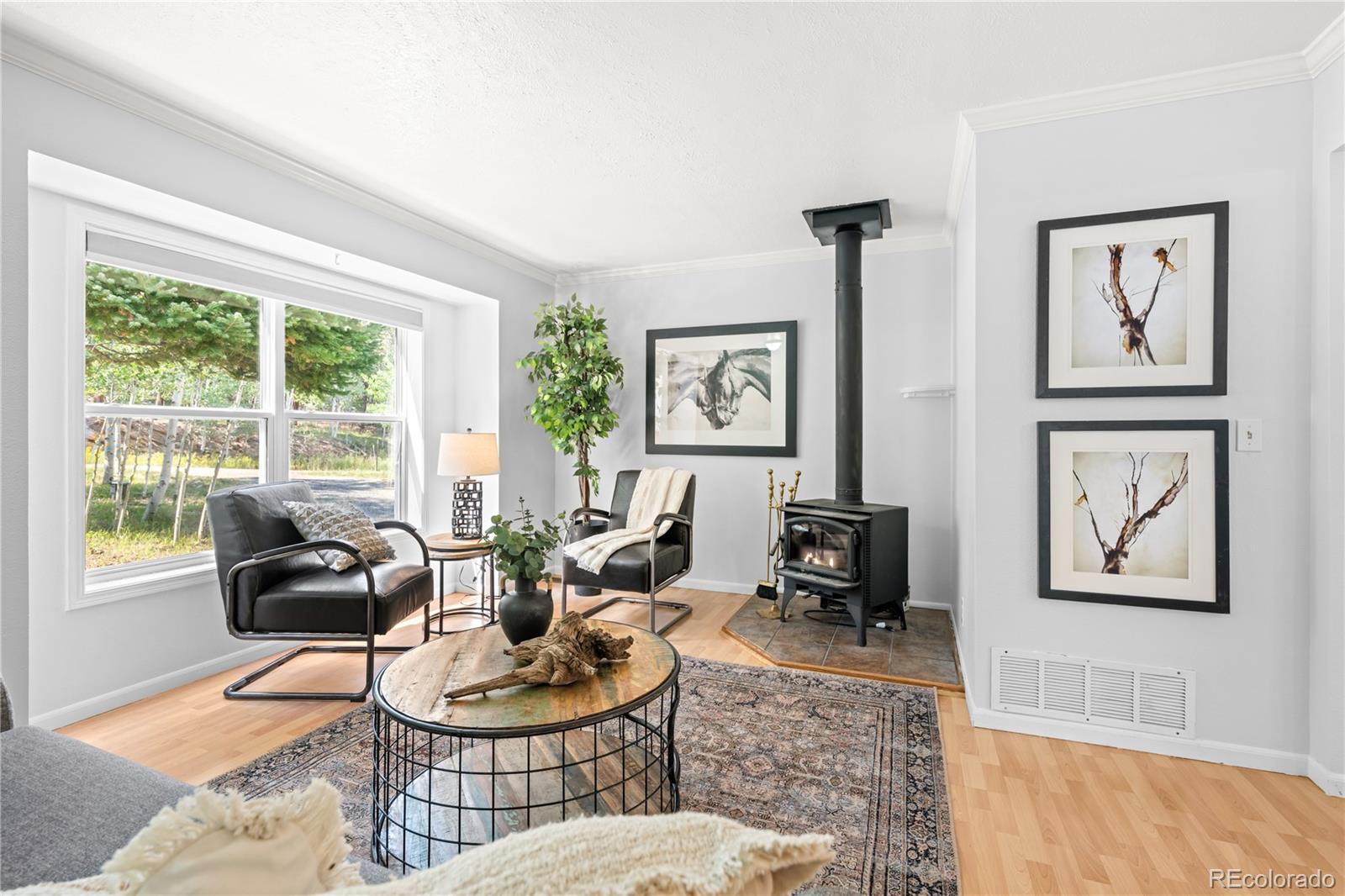 MLS Image #5 for 216  nero road,black hawk, Colorado
