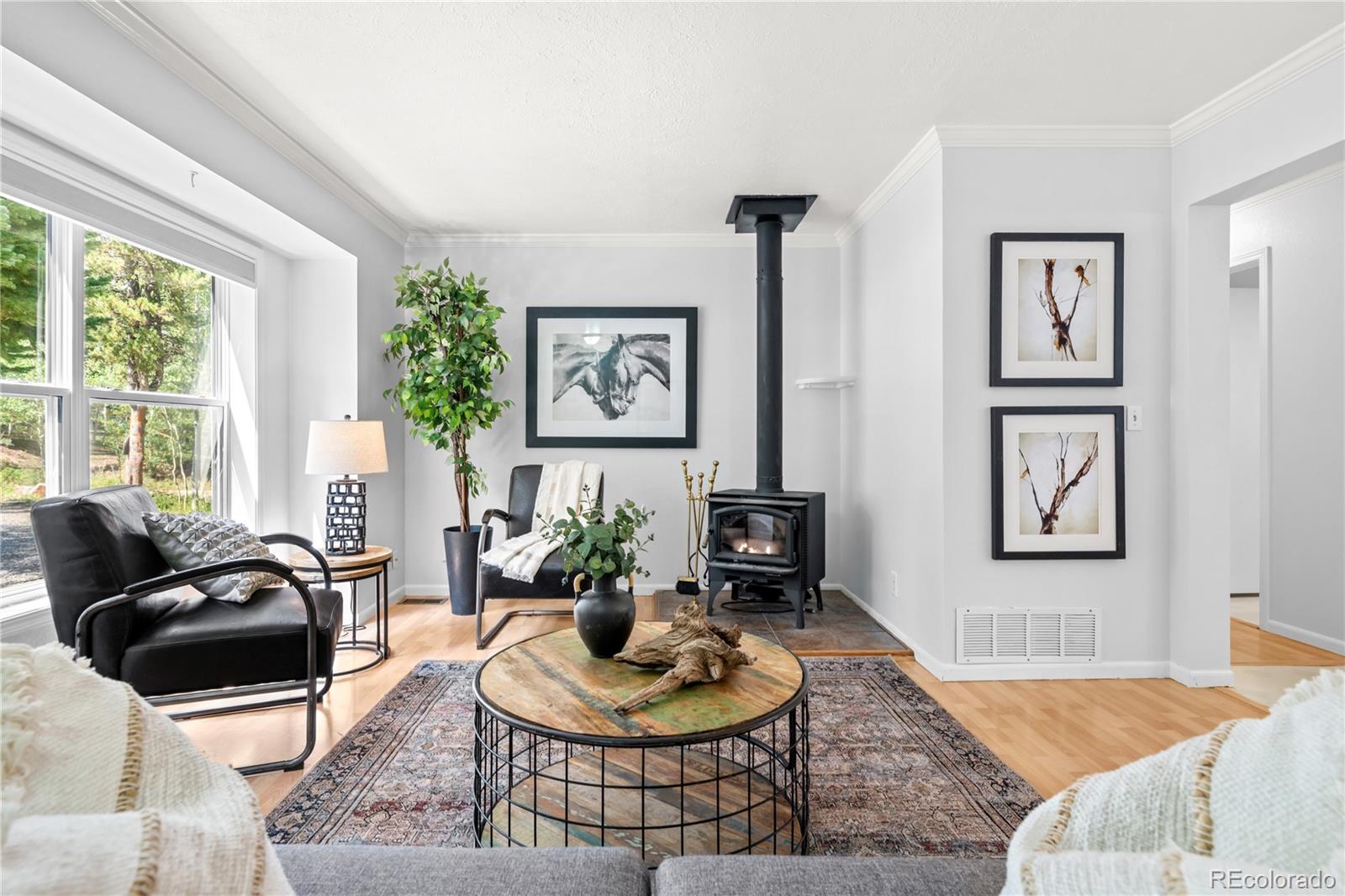 MLS Image #6 for 216  nero road,black hawk, Colorado