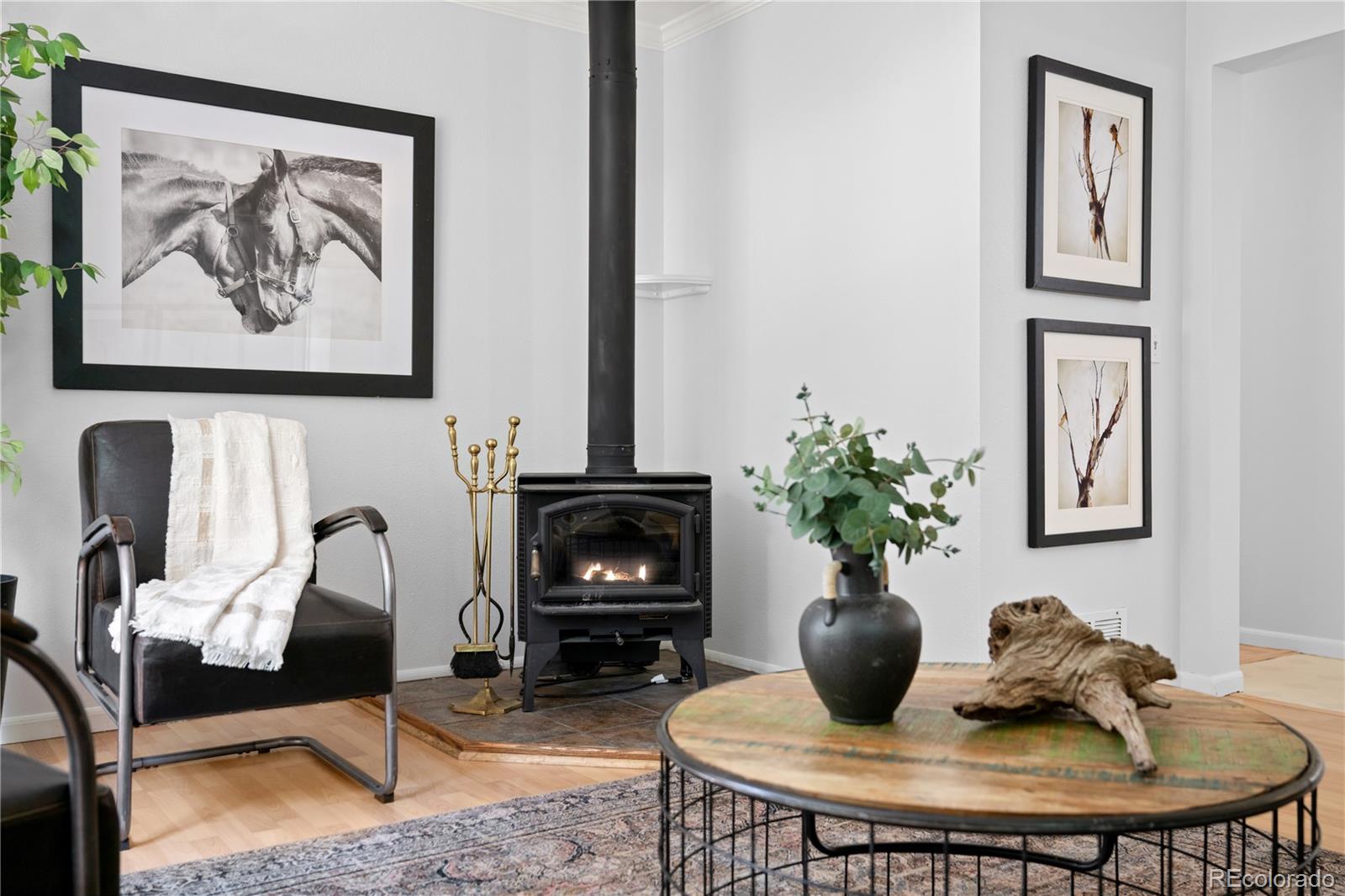 MLS Image #7 for 216  nero road,black hawk, Colorado