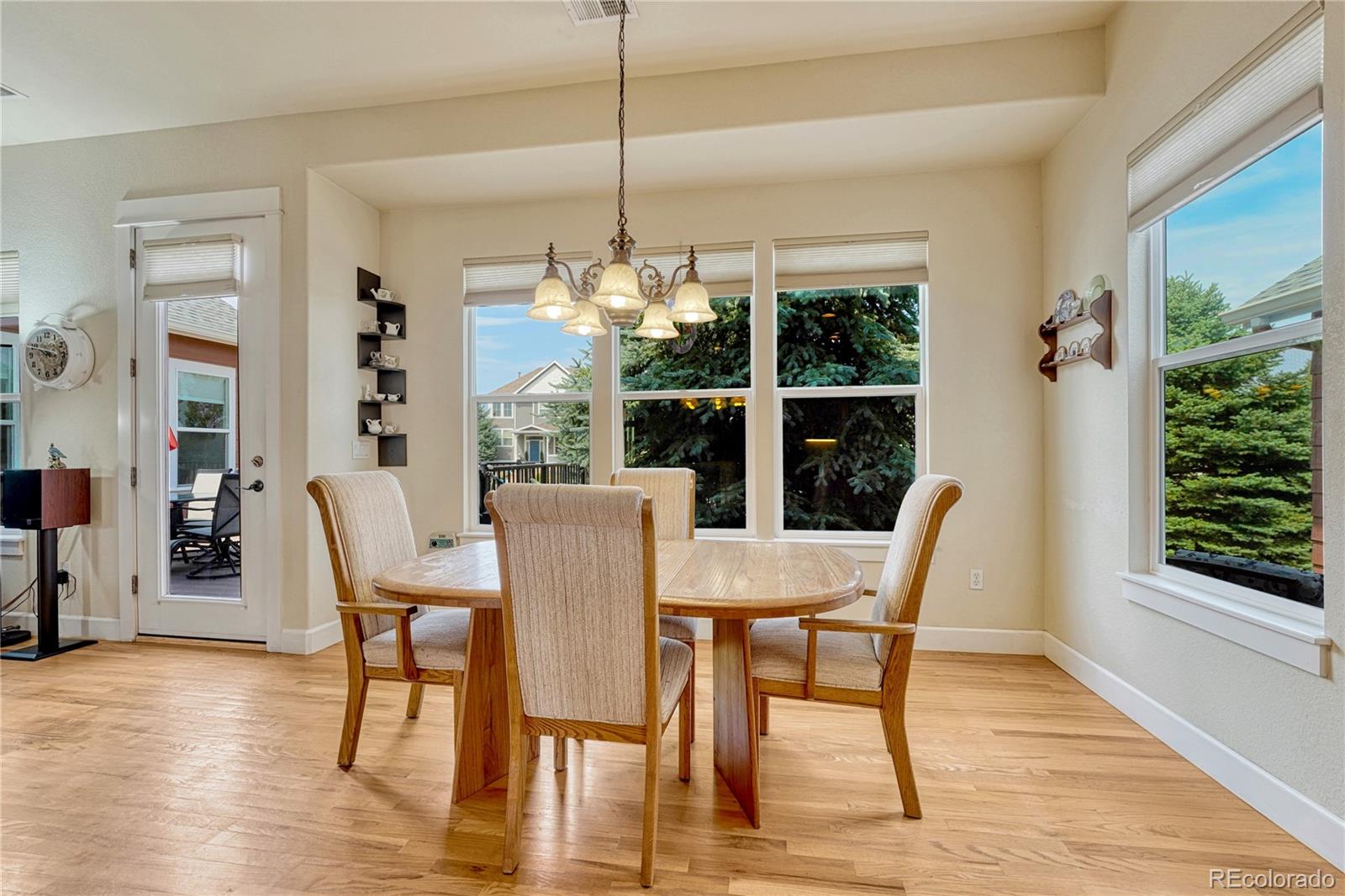 MLS Image #10 for 5302  danvers court,castle rock, Colorado