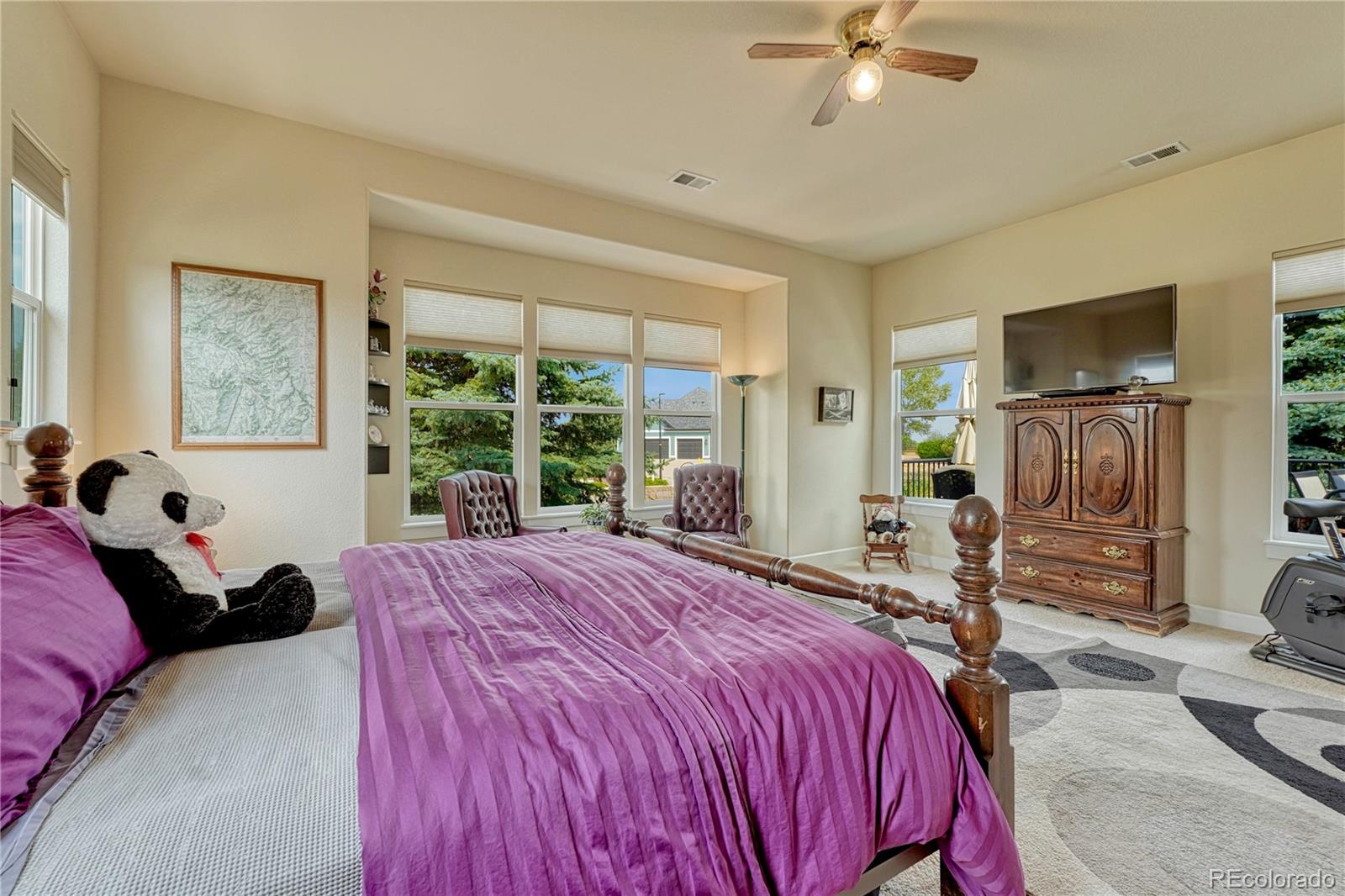 MLS Image #23 for 5302  danvers court,castle rock, Colorado
