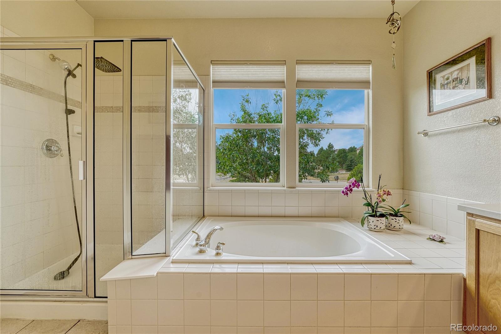 MLS Image #25 for 5302  danvers court,castle rock, Colorado