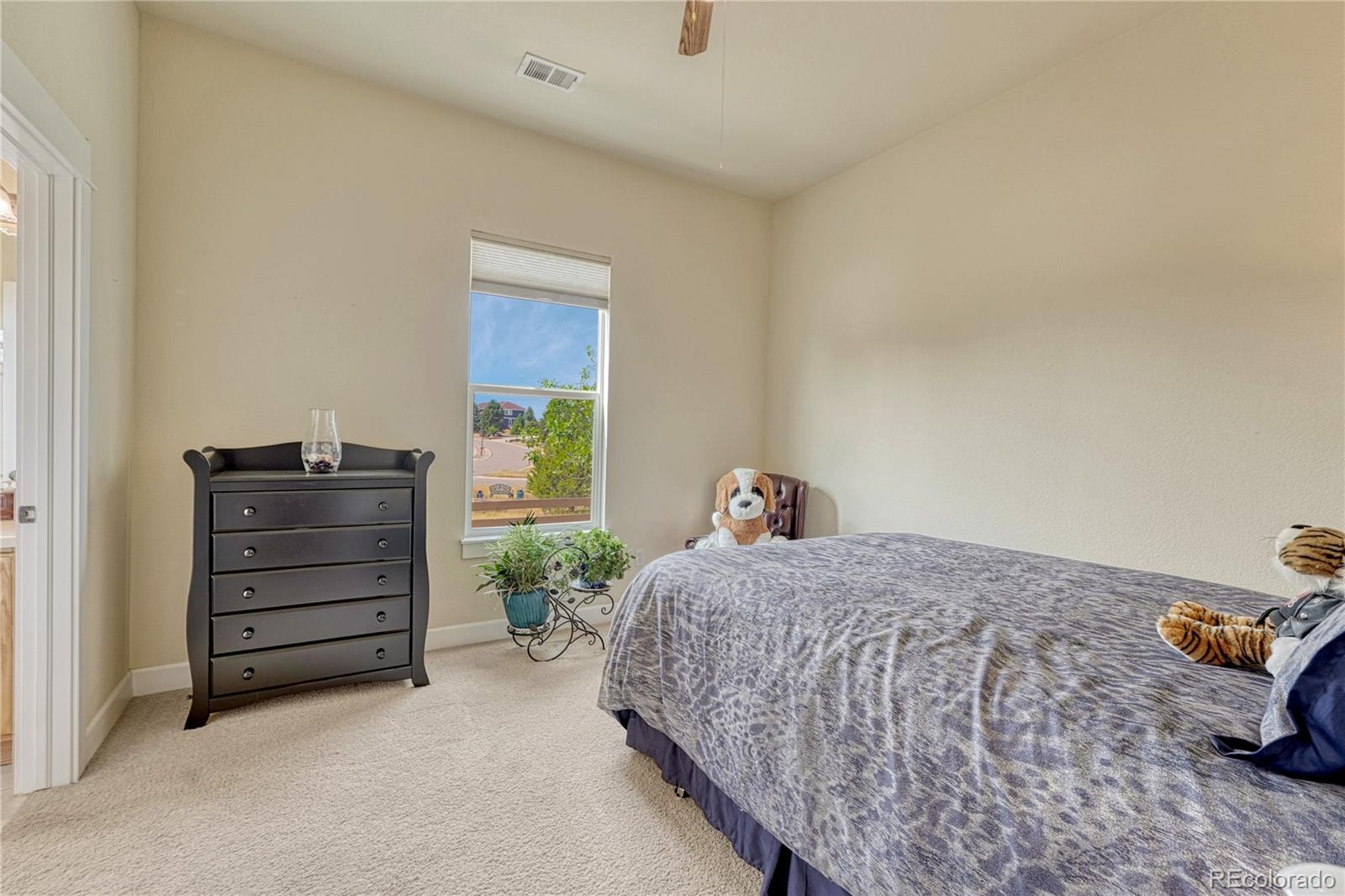 MLS Image #28 for 5302  danvers court,castle rock, Colorado