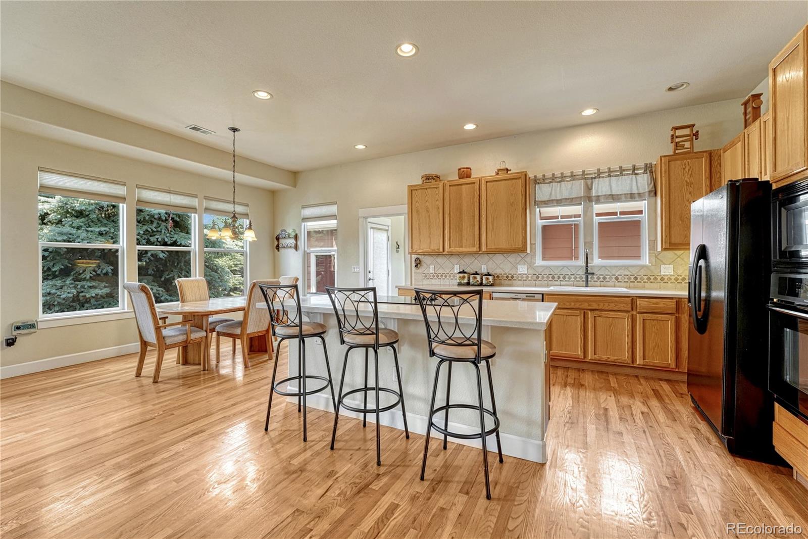 MLS Image #6 for 5302  danvers court,castle rock, Colorado