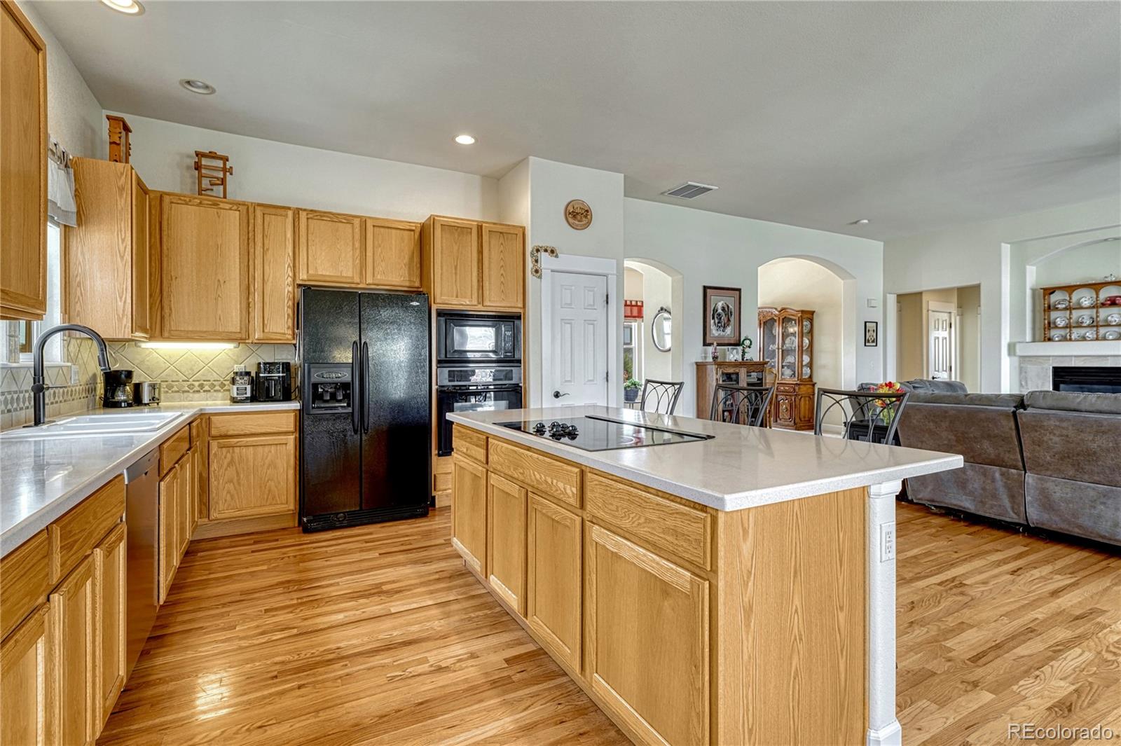 MLS Image #8 for 5302  danvers court,castle rock, Colorado