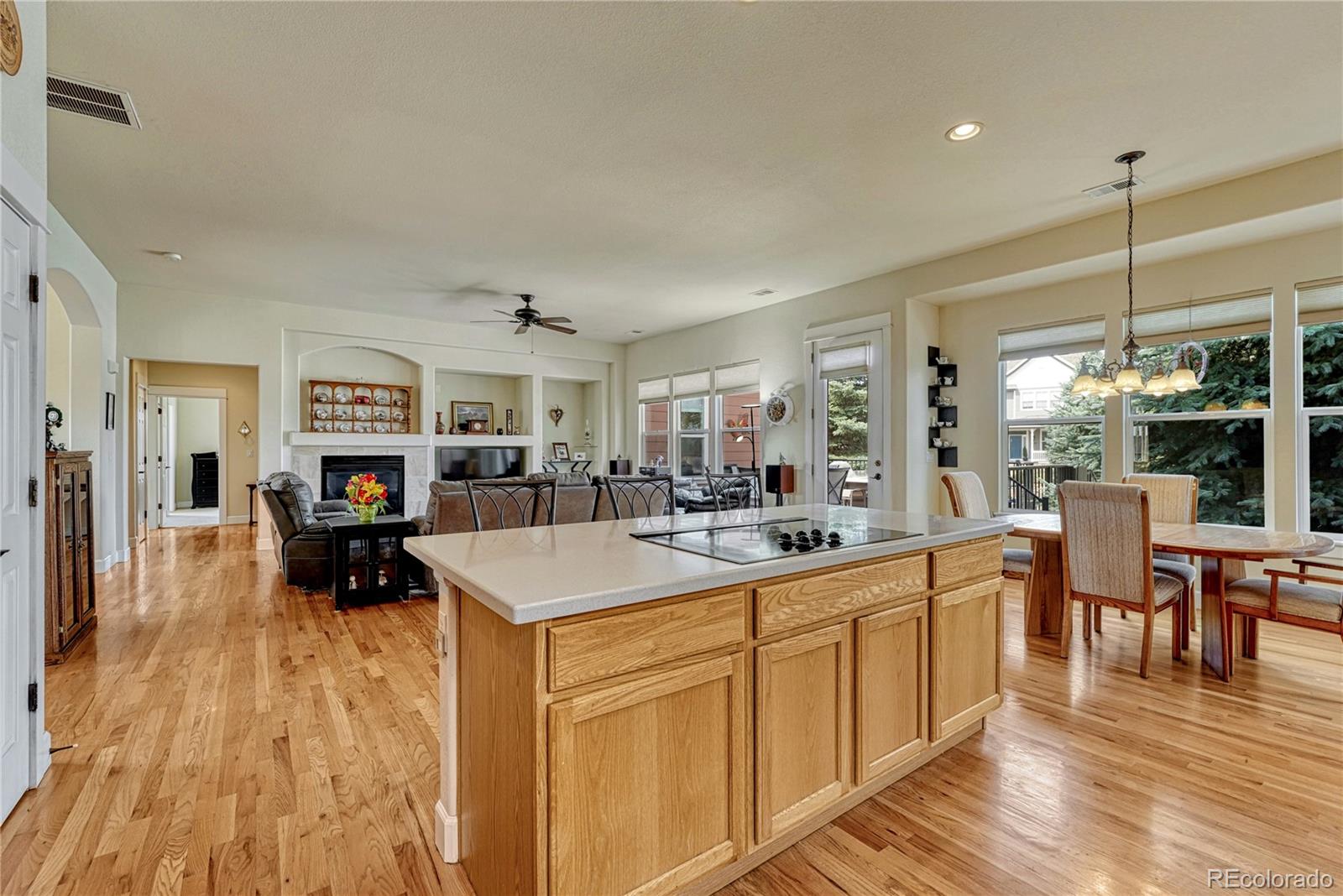 MLS Image #9 for 5302  danvers court,castle rock, Colorado