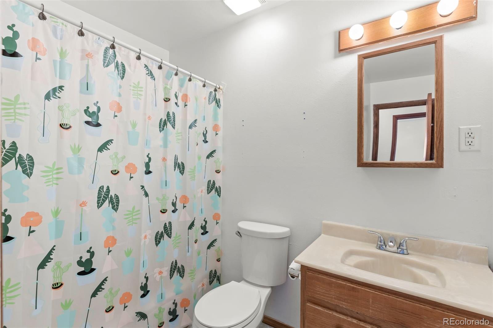 MLS Image #14 for 117  ely street,colorado springs, Colorado