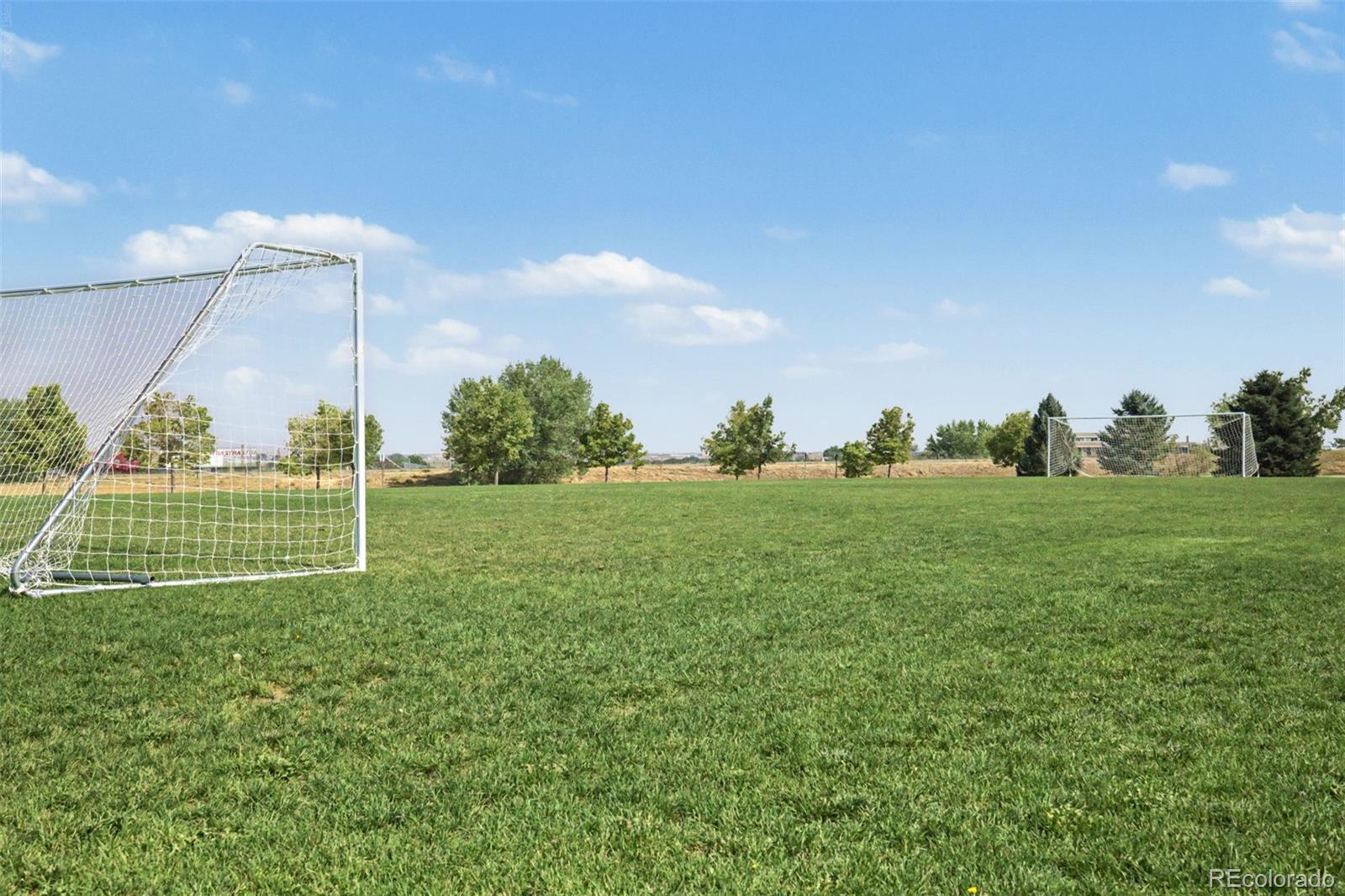 MLS Image #31 for 5129  goshawk street,brighton, Colorado