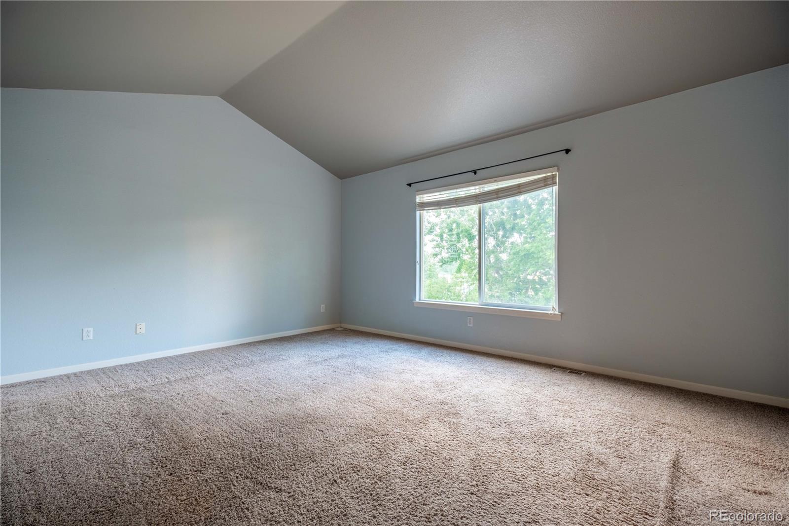 MLS Image #11 for 20241  willowbend lane,parker, Colorado