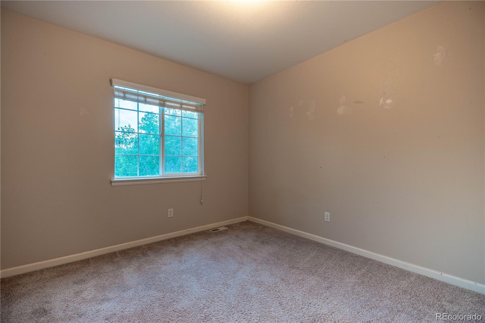 MLS Image #19 for 20241  willowbend lane,parker, Colorado