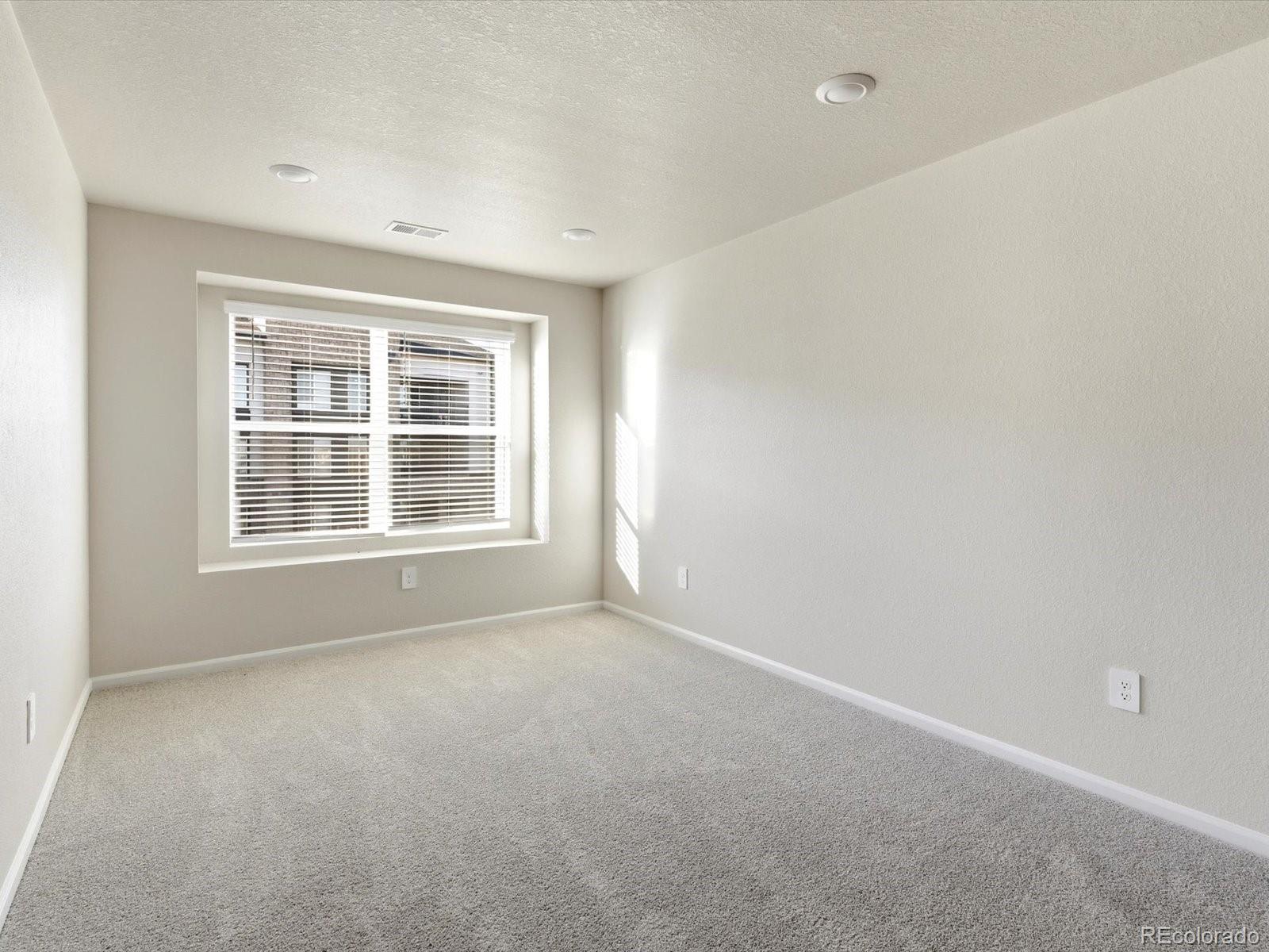 MLS Image #13 for 1596  riverplace drive,windsor, Colorado