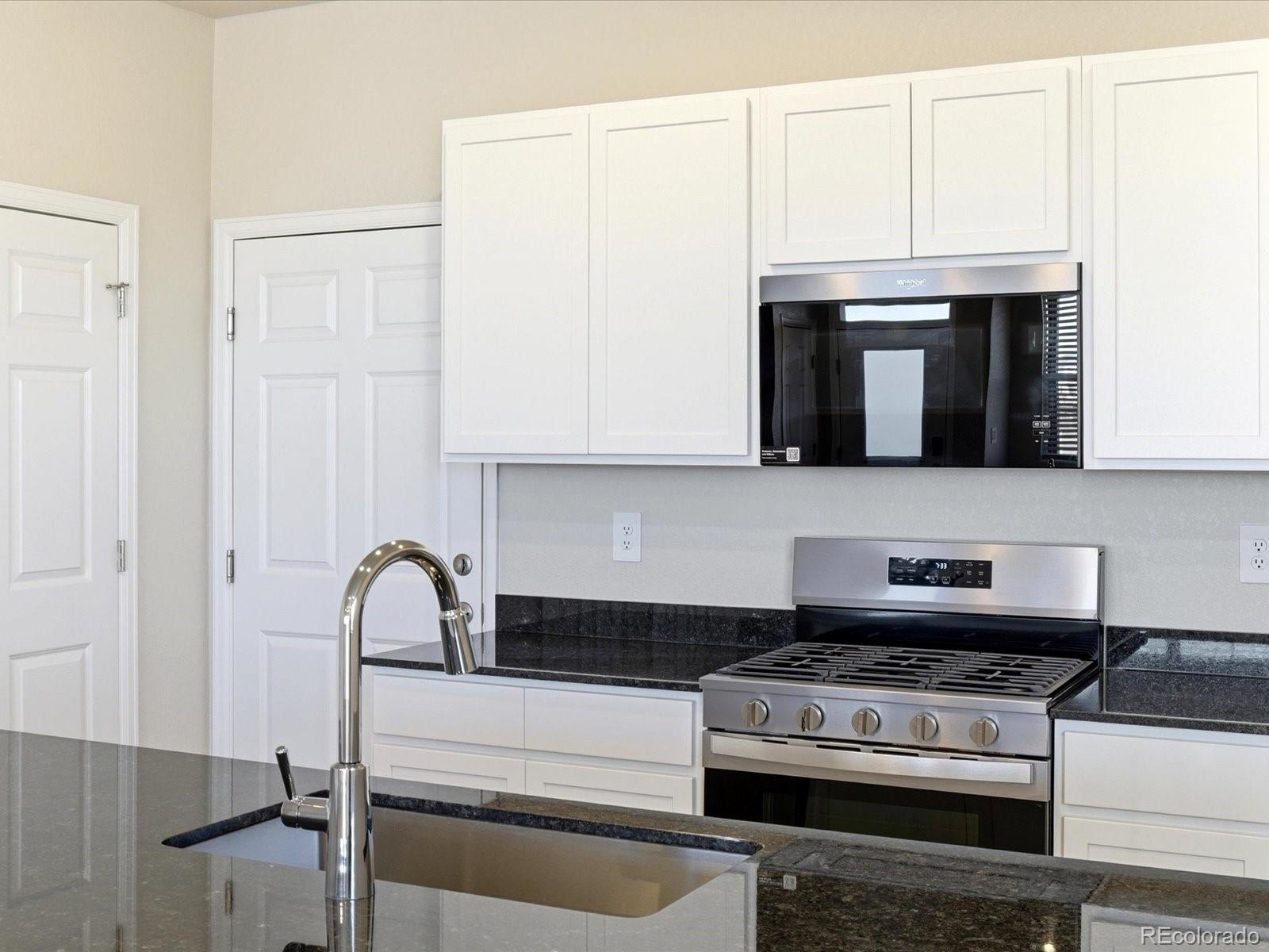 MLS Image #5 for 1596  riverplace drive,windsor, Colorado